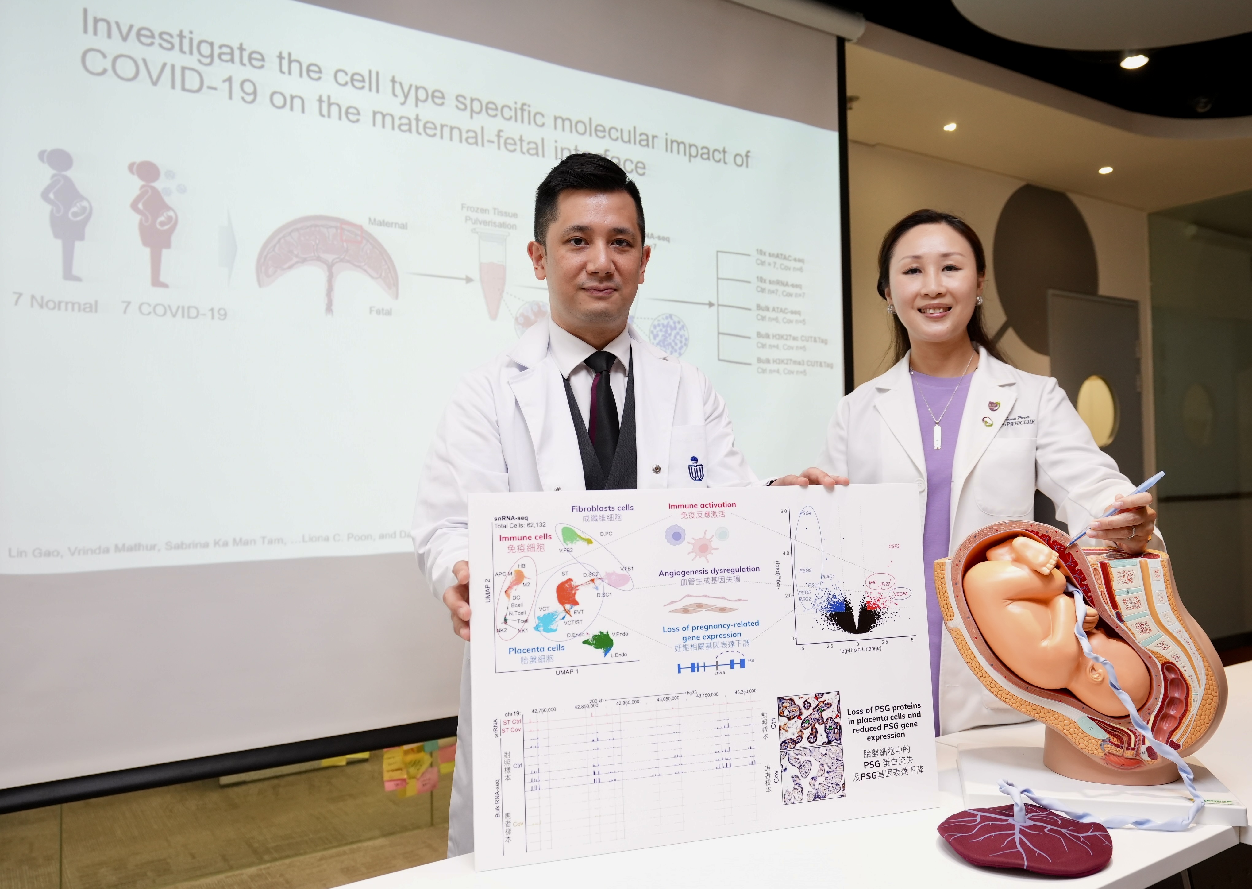The research team is led by Prof. Danny LEUNG, Associate Professor of the Division of Life Science and Director of the Center for Epigenomics Research at HKUST (left), and Prof. Liona POON, Chairperson of the Department of Obstetrics and Gynaecology at CUHK’s Faculty of Medicine.
