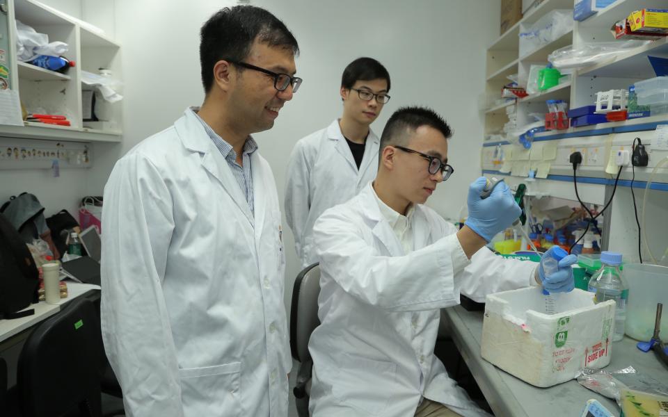 博士研究生馬天驥（前右）在郭教授（前左）的指導下進行實驗。